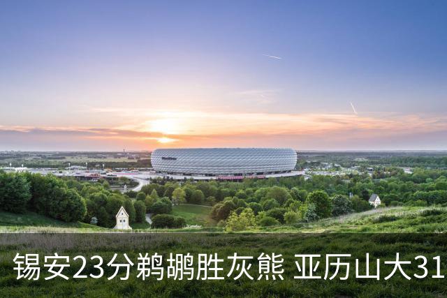 锡安23分鹈鹕胜灰熊 亚历山大31+10雷霆屠公牛